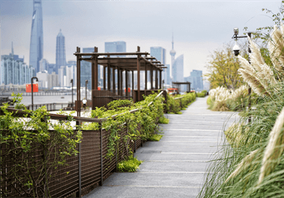 彩虹多多官网-追求健康,你我一起成长