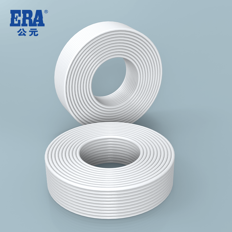 彩虹多多官网-追求健康,你我一起成长