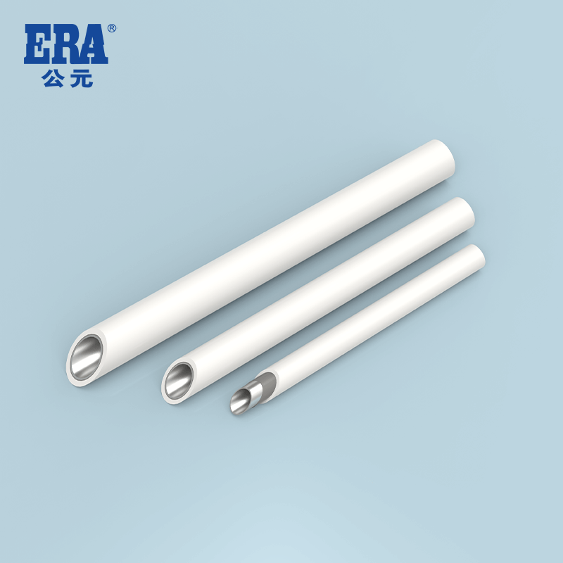 彩虹多多官网-追求健康,你我一起成长