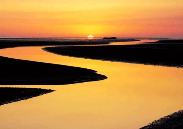 彩虹多多官网-追求健康,你我一起成长