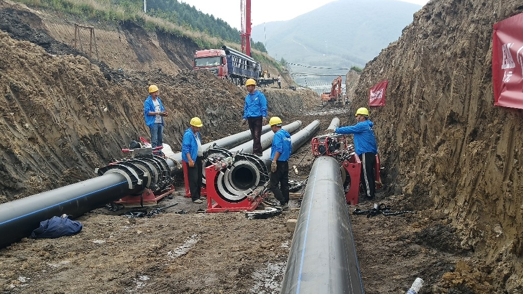 彩虹多多官网-追求健康,你我一起成长