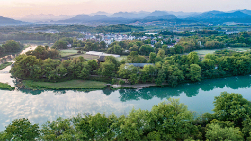 彩虹多多官网-追求健康,你我一起成长