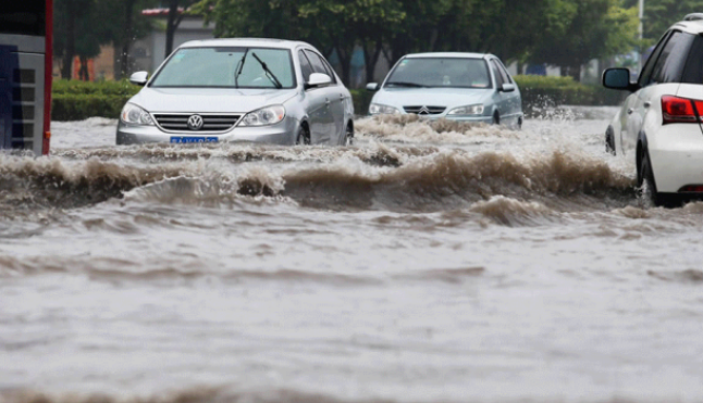 彩虹多多官网-追求健康,你我一起成长