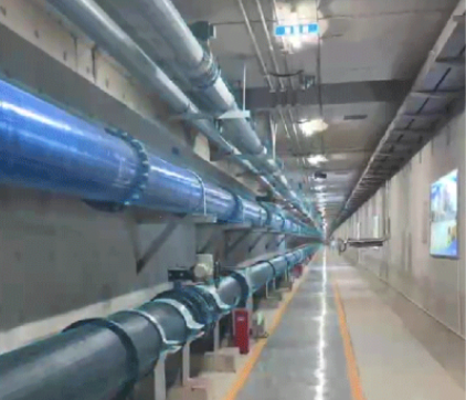 彩虹多多官网-追求健康,你我一起成长