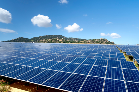 彩虹多多官网-追求健康,你我一起成长