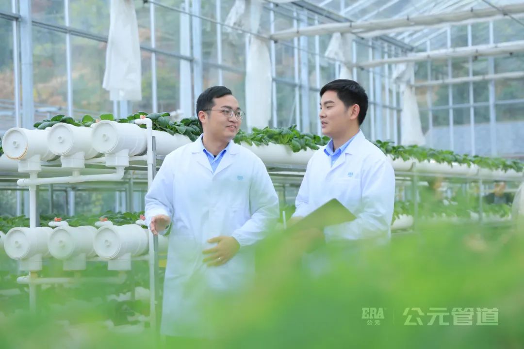 彩虹多多官网-追求健康,你我一起成长