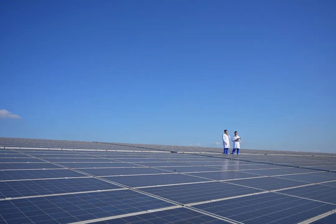 彩虹多多官网-追求健康,你我一起成长