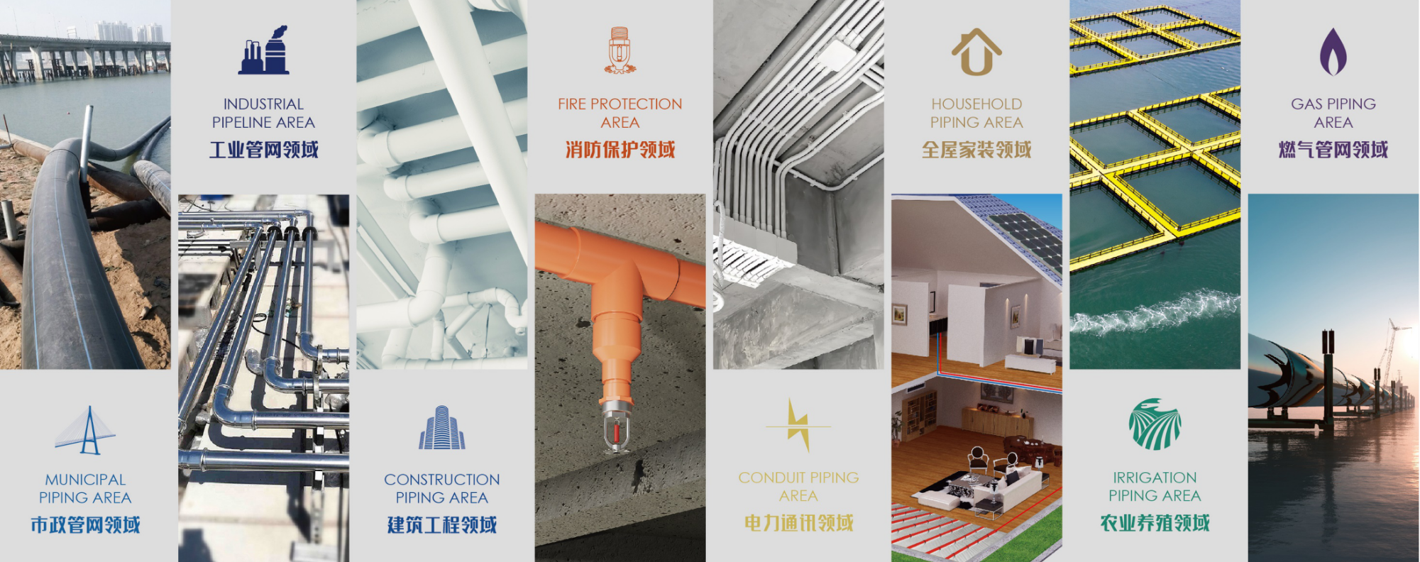 彩虹多多官网-追求健康,你我一起成长